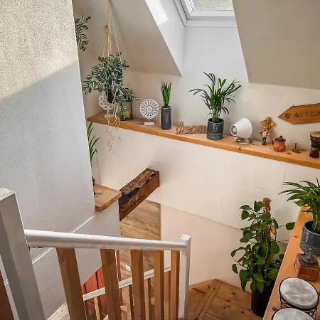 Ping Pong In Heart Of Liptov Jakubovany (Zilinsky)