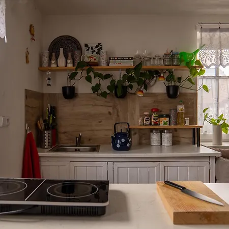 Ping Pong In Heart Of Liptov *